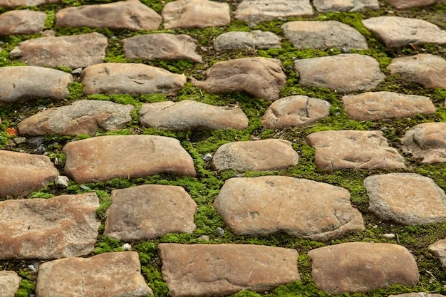 Hand-placed rockery stones arranged in a country garden